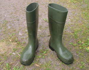 Welly Boots Image