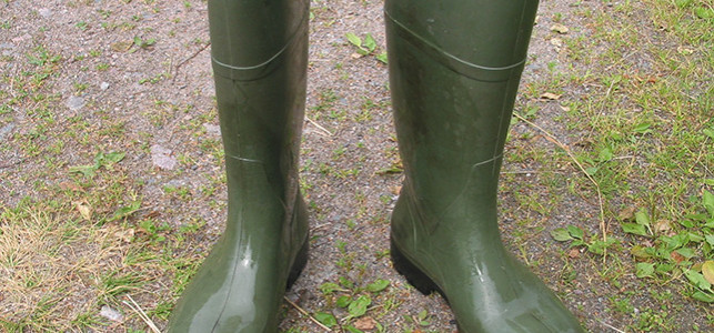 Welly Boots Image